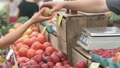 С 8% са се увеличили почасовите разходи за труд в България