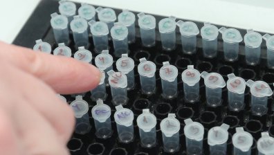 Ковид-19 за денонощието: Без починали и ваксинирани, заразени са 38 души