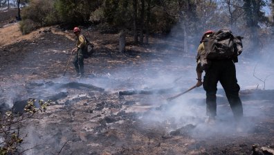 Пожари обхванаха над 470 хиляди хектара земя в САЩ