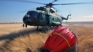 Пожарът край българо-гръцката граница е под контрол, близо 200 души гасят огъня
