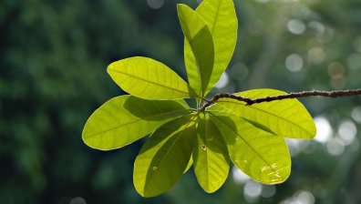 Слънчево утро в цялата страна и валежи в следобедните часове