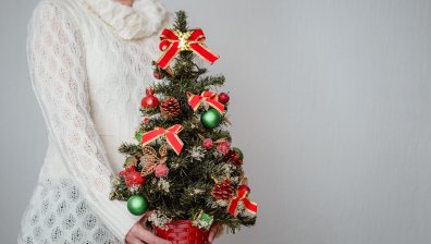 Мини коледни дръвчета: 5 малки растения, които да украсим в апартамента
