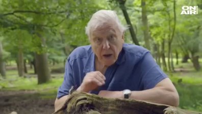 Еколог на 94 г. счупи рекорд за най-бързо набиране на последователи в Instagram