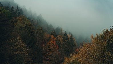 Времето в четвъртък: До 14 градуса и валежи от дъжд и сняг