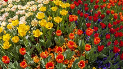 Времето днес: Посрещаме пролетта с температури до 17 градуса