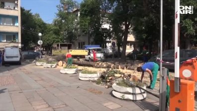 Дърво се стовари върху кола в центъра на Пловдив