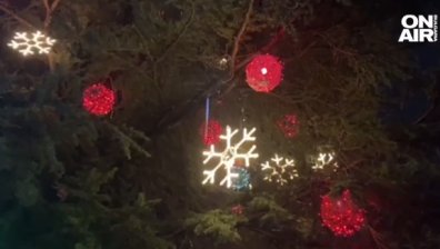 Най-голямата коледна елха в Европа грейна в центъра на Димитровград