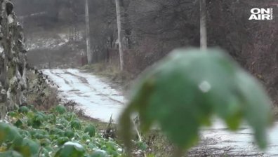 Да си сам на празниците