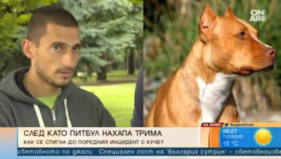 Радостта на питбула лесно преминава в агресия, обясни треньор на кучета