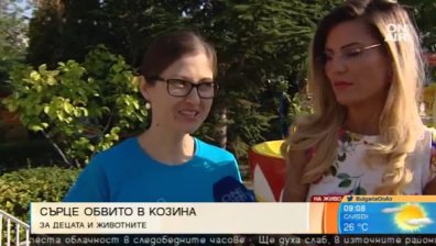 От любов към животните