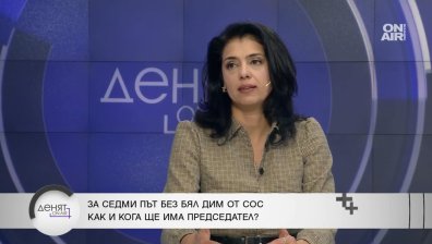Ваня Григорова: ПП-ДБ-СС са сърдитото дете - борба на его, а не за позиции