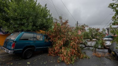 Мощна буря изкоренени дървета в Скопие и Тетово, домакинства останаха без ток