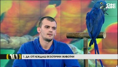 Десет начина да внесем екзотика в живота си