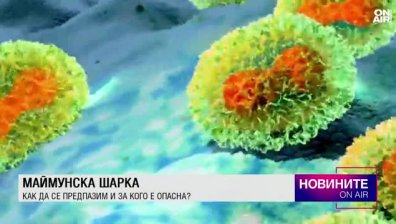 Обедна емисия