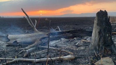 Наградиха добровлоците, гасили Драгоманското блато
