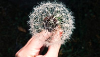 9 неща, които най-успелите хора правят всеки ден, за да бъдат щастливи