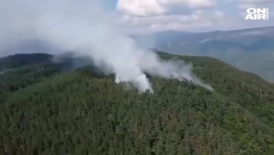 Продължава борбата с огъня в района на Югово в Родопите