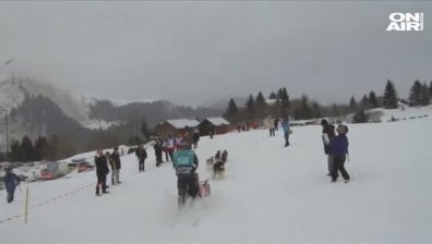 Започна надпреварата с кучешки впрягове във Френските Алпи