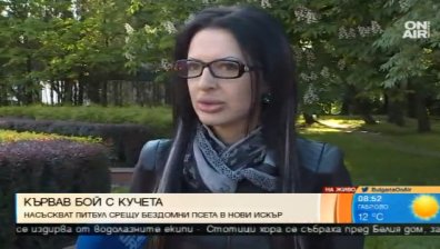 В Нови Искър насъскват питомни кучета срещу бездомни