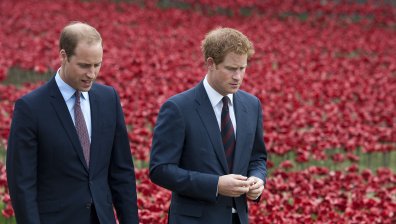 Хари и Уилям без обща реч на откриването на паметника на Даяна