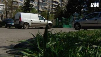 Дръвчета в "Младост" бяха залети с непознато вещество