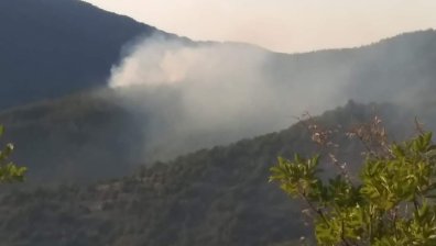 Локализираха пожара в Кресненското дефиле, няма опасност за населените места