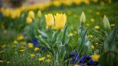 Температури до 30 градуса в събота, облаци и дъжд на изток