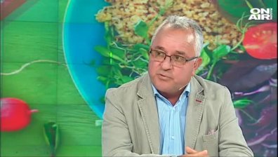 Какви плодове и зеленчуци ядем?