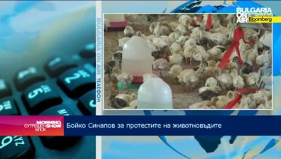 На 14 юли ще стане ясно дали животновъдите ще започнат масови протести