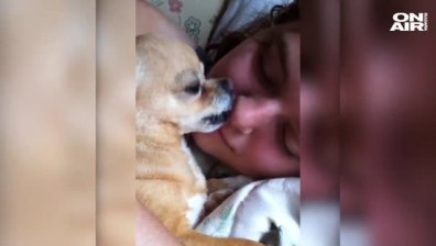 Перфектното събуждане?