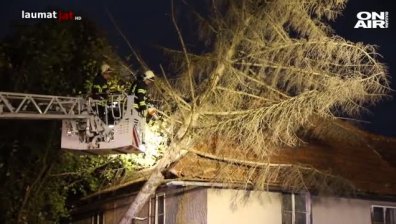 Силна буря в Австрия и Германия, поривите на вятъра достигнаха 127 км/ч