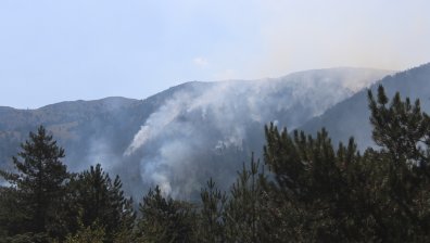 Кметът на Синтики: Отваряме противопожарни зони по границата с България