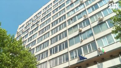 Тинка Троева е новият директор на Фонда за лечение на деца