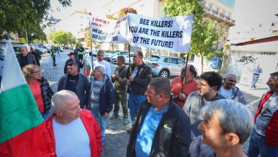 Пчелари поискаха помощ от държавата