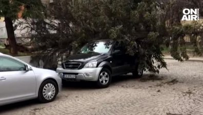 Десетки сигнали и много щети в София след ураганния вятър