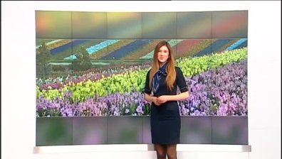 Централна прогноза