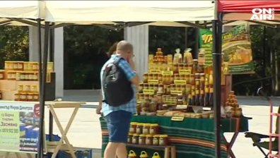  Продължават да измират стотици пчелни семейства у нас
