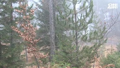 В рамките на 24 часа: Петима туристи пострадаха в планините
