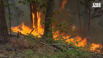 Пожарите в Калифорния стават неконтролируеми, обявено е бедствено положение