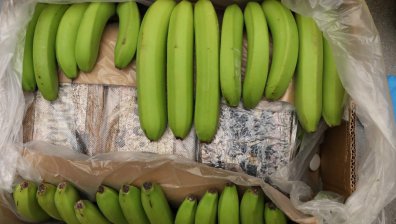 Испанската полиция иззе 9,5 тона кокаин, бил скрит в контейнер с банани