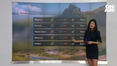 Централна прогноза