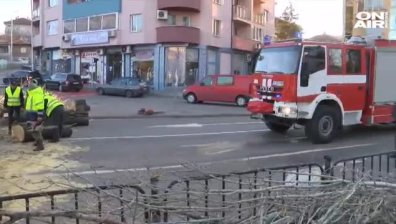 Вятърът събори огромна топола и ел. стълб в Хасково