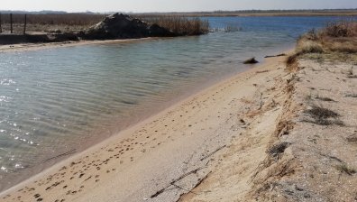 ЕК предяви иск срещу България заради зоните по "Натура 2000"