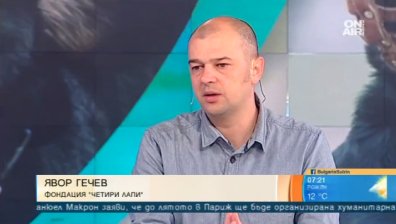 Домашни кучета разкъсват децата ни, докога престъпно нехайство?