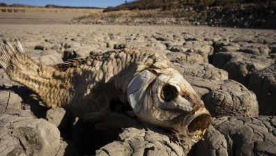 Глобалното затопляне: Климатът приближава точката, от която няма връщане назад