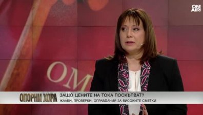 Велислава Делчева: Според енергодружествата, ние сме в ледената епоха