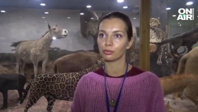 Обидно ниски заплати и убийствени сметки за ток - музеите едва оцеляват