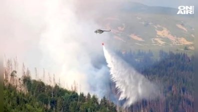 Огнеборците овладяха пожара в Новозагорско