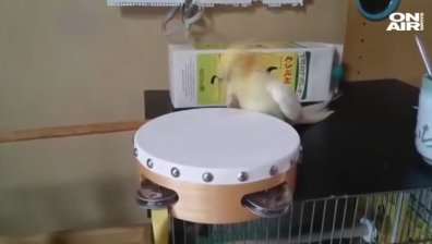 Click 05 ноeмври част 1