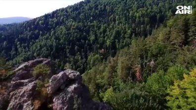 Дипломация на пусия:  "Кормисош&ldquo; - държавното ловно стопанство в Преспанския дял на Родопите
